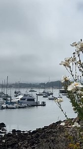 Who's up for some well-deserved fun in July? Check out these exciting events happening in Monterey County: 🎆 4th of July Events Celebrate Independence Day with various events across Monterey County. Date: July 4th Details: https://bit.ly/2K4pwQE 🏍️ Superbike Speedfest 10th Anniversary Feel the adrenaline rush at WeatherTech Raceway Laguna Seca. Dates: July 12-14, 2024 Location: Laguna Seca Raceway @weathertechraceway Carmel Bach Festival Celebrating the passions of Bach and beyond Dates: July 