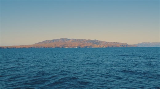 25 reactions | Once devastated by feral pigs and sheep, Santa Cruz...