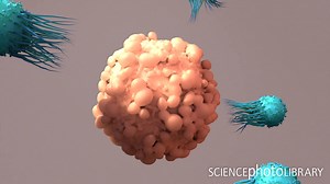 1.1K views · 74 reactions | A powerful sight: Watch as T-cells, the...