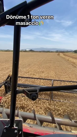 #buğday#harman#massey7370#paralevel#masaccio#newhollandaşk