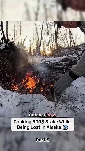 34K views · 332 reactions | Cooking 500$ Stake While Being Lost part 3 #uk #canada #foryou #foryoupage #survival #fbreelsvideo #usa #cooking#159 #fyp #outdoorboys #australia #camping | I Film Alone | Facebook