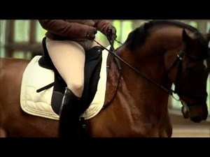 The NEW Isabell Dressage Saddle