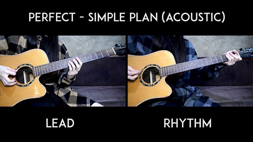 Perfect - Simple Plan (Guitar Cover)