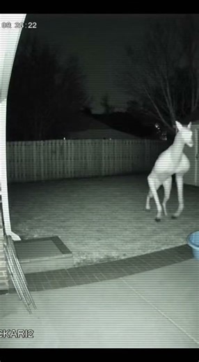 Comodoro,+MT,+78310-000/@-13.6582414,-59.8055983,15z/data=!3m1!4b1!4m6!3m5!