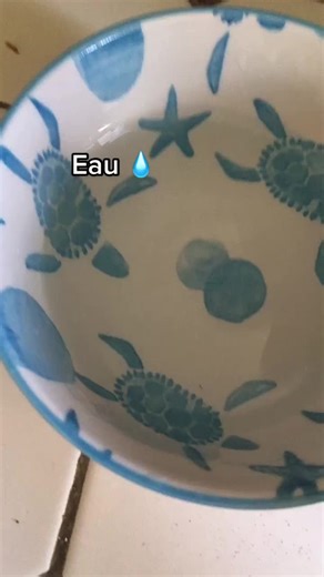 Recettes de slime sans colle: Comment faire du slime sans colle ni borax