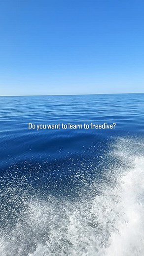 11 reactions | Dive into the world of freediving with the PADI Basic Freediver Course!  This one-day pool course in stunning Muriwai, Auckland, will teach you the essentials of freediving theory, techniques, and skills. Upcoming dates:  31st January  14th February Ready to start your journey? Send me a DM for more details! #Freediving #Spearfishing #BreathControl #LearnFreediving #AdventureAwaits | Awe Freedive | Facebook
