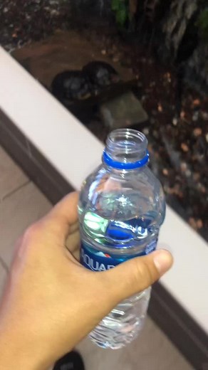 My turtles wasn’t feeling it today #NotOneThing