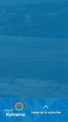 86 reactions | Curious about what's going on in Kelowna? Subscribe to City Views and get City news delivered straight to your inbox. | City of Kelowna | Facebook