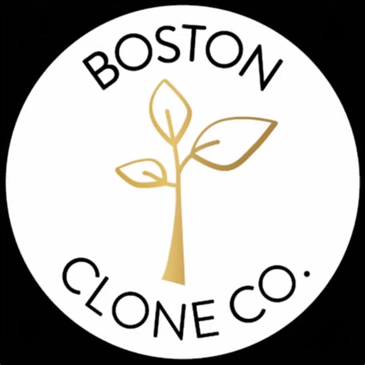 171 reactions · 25 comments | Fire Plant Genetics in 50 States | Boston Clone Company | Facebook