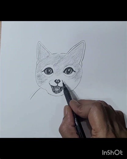 How to Draw Realistic Animals | Animal Sketch Series - Part 1#viral #drawing #pencilsketch