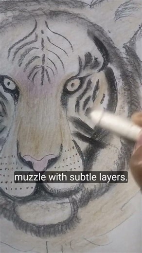 Tiger 🐯 Sketch Tutorial #shorts