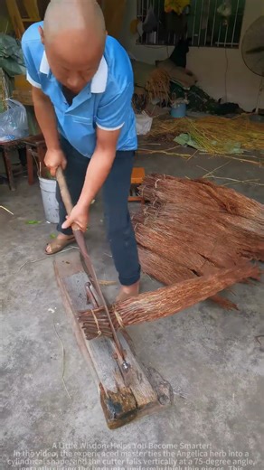 The cleaver chops bundles of medicinal herbs: a balance between efficiency and medicinal properties