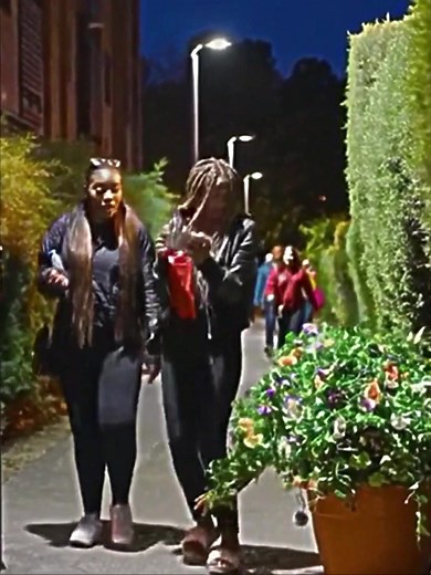 #bushman #bushmanprank #bushmanpranks #bushmanpranks😃 #funny #viralvideo #fyp #pranks #funnyvideos #cowboys #cowboyprank #cowboy