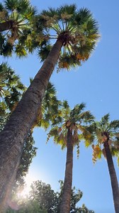 51 reactions | ✨ Discover Athens step by step on our brand new Athens...