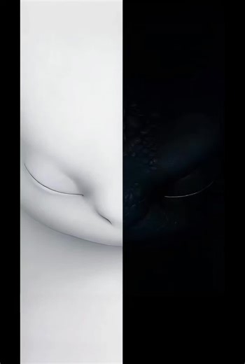 Phone Designs