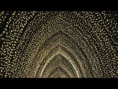 Into the darkness / Come, Lord Jesus, Come Maggi Dawn