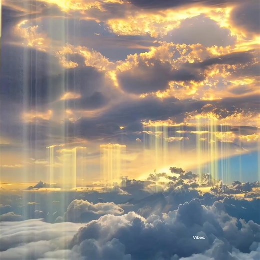 " beautiful the creation of God " | 𝐕𝐢𝐛𝐞𝐬.