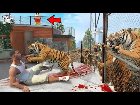 Franklin Saving His House From 1000 Tigers in GTA 5 !