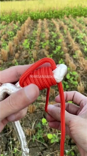 How to Tie a Heavy-Duty Loop Knot 🪢 | Easy & Secure Tutorial