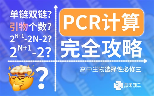 【高中生专用】PCR计算全面攻克
