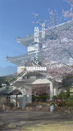春の島原〜島原城×さくら〜