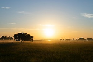 Land Protection — Conservation Florida