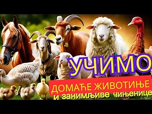Učimo domaće životinje! 🐄🐑🐔 Edukativni video za decu!