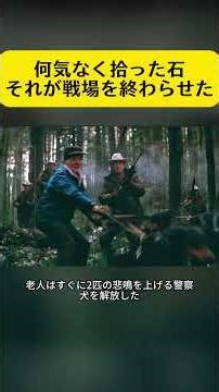 ただ石を拾っただけで…武装部隊が全滅
