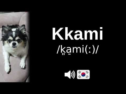 How to pronounce Kkami (CORRECTLY!)