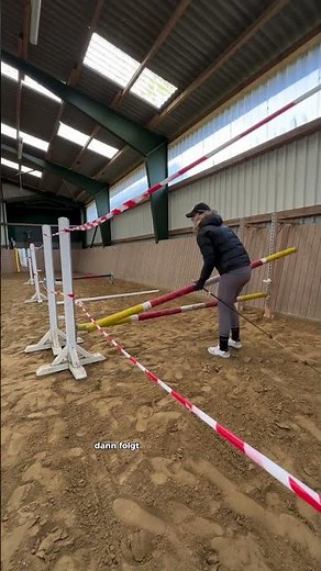 🐎 You want to free jump with your horse - maybe also with your dressage horse 😍