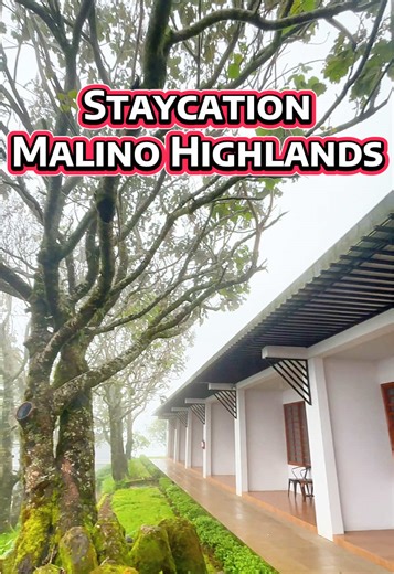 Experience the Serenity of Malino Highlands