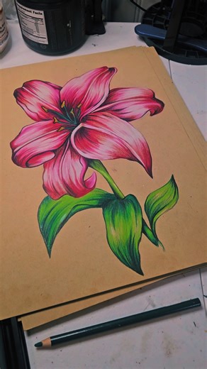 #ferart #fyp #dibujosalapiz