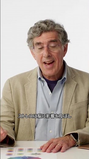 Does stress shrink the brain? #techsupport #techsupport #wiredjp