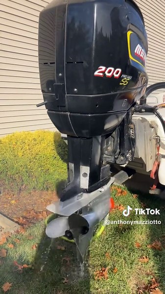 Anthony Mazziotto on TikTok