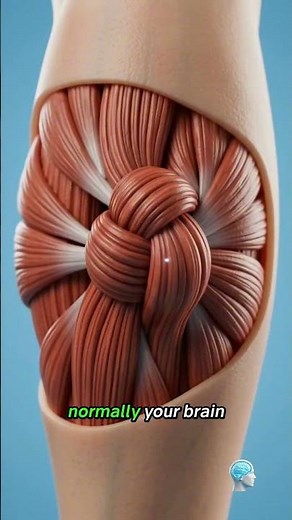 What Really Causes a Muscle Cramp? 😳