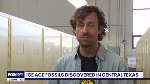 Ice Age fossils discovered in Central Texas