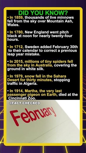 Did you know snow fell in the Sahara?