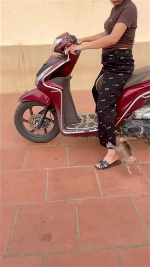 As soon as Zuzu saw her mother start the engine, she ran straight towards her.