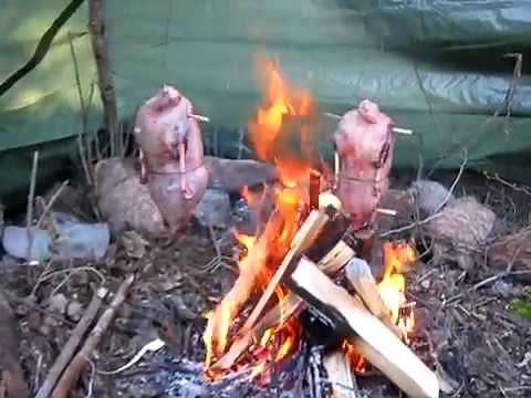 Cooking Canada Goose Traditional Cree Sigabon-Style - North Bay, Ontario, Canada