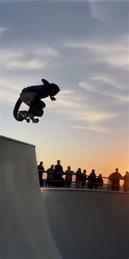 Pro Skateboarding Monkeys — Insane Skatepark Tricks! 🐒🛹