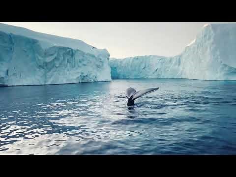 Live the Authentic Beauty of Antarctica