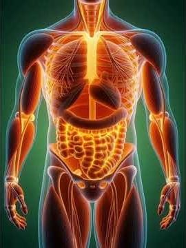 What Happens to Your Body When You Eat Butter #youtubeshorts #facts #3danimation