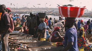 8K views · 67 reactions | The NDP is designed to: I) Restore good governance and respect for human rights, II) Stabilize the economy and stimulate growth, III) Modernize agriculture and fisheries, IV) Invest in people to improve education, V Build infrastructure and improve energy services, VI) Make the private sector engine of growth #GambiaConference #GambiaDevelop | State House of The Gambia | Facebook