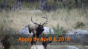 390 reactions · 114 shares | Colorado is calling. Answer the call. Apply for a Colorado big-game hunting license before April 3. New for 2018: Hunters will be charged for the license after a successful draw.​ | Colorado Parks and Wildlife | Facebook