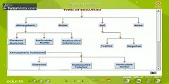 Pollution in Environment