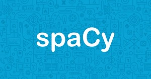 Layers and Model Architectures · spaCy Usage Documentation