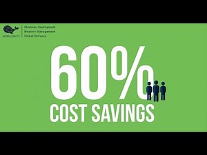 Dedicated Development Team Definition & Explanation