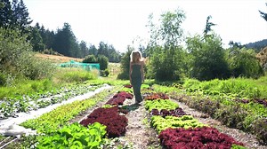 13K views · 324 reactions | ✨ Enjoy this short film about dreaming...