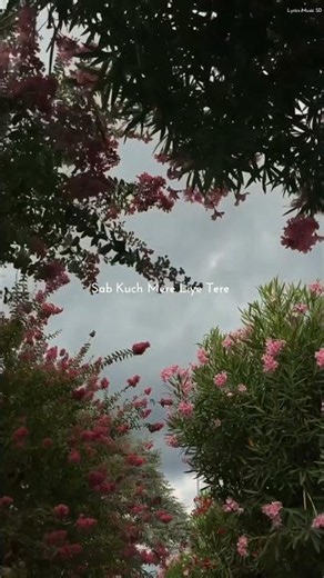 Tere Sang Yara 😊 || Lyrics music SD || #Song
