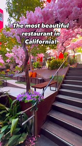 58K views · 4.7K reactions |  Save & share this restaurant for your...